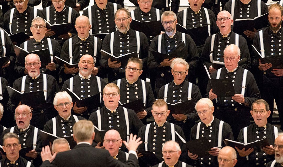 Concertagenda afbeelding