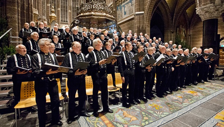 Concertagenda afbeelding