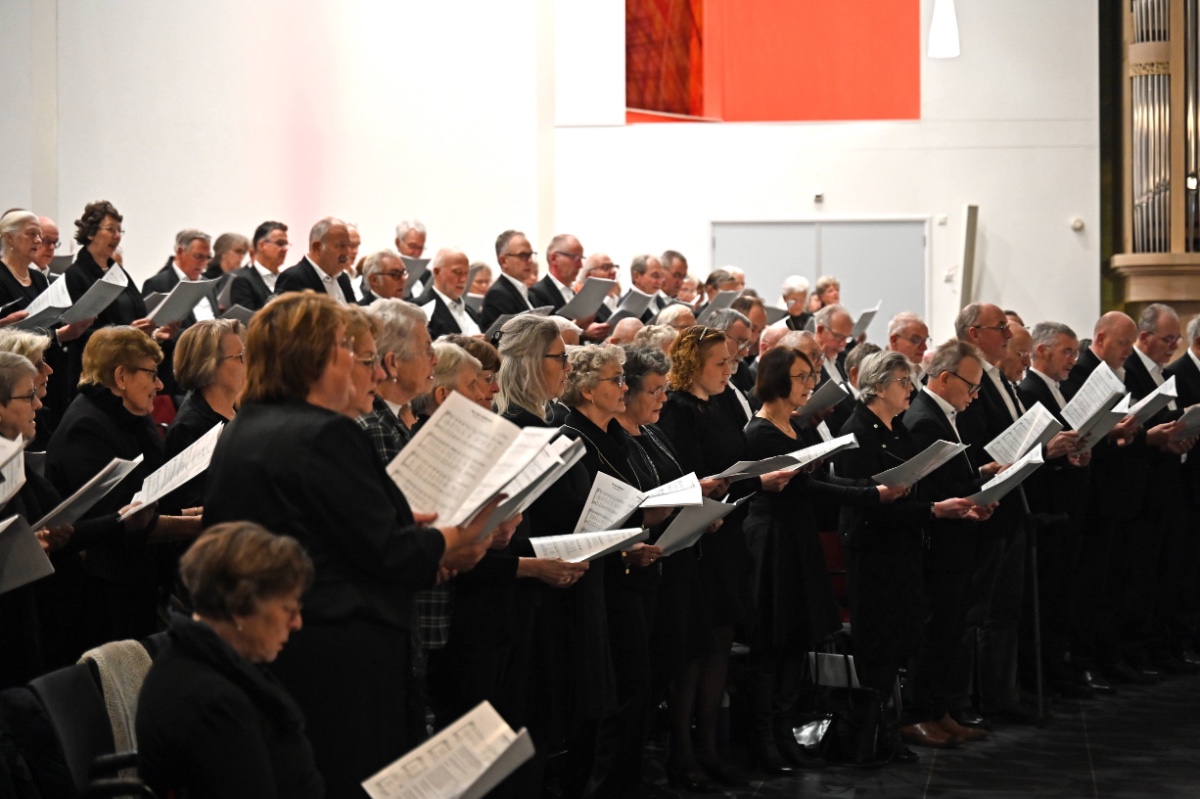 Concertagenda afbeelding